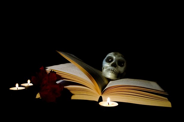 halloween scary skull